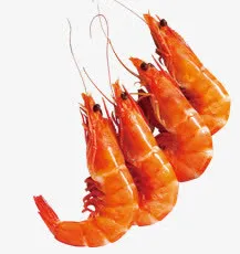 美食免抠