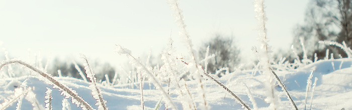 冬天雪背景高清