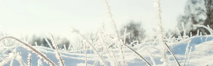 冬天雪背景高清