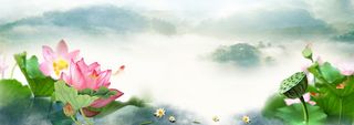 中国风禅意荷花大气电商海报高清