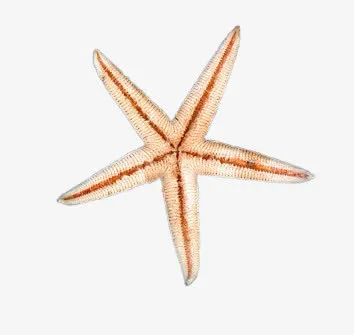 海星png素材免抠