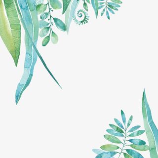 清新水彩树叶素材图案免抠手绘/卡通卡通元素