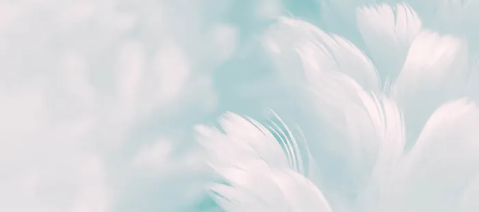 朦胧羽毛梦幻高清