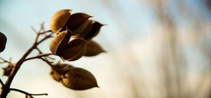 淘宝背景图高清