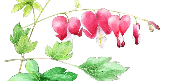 插画背景高清
