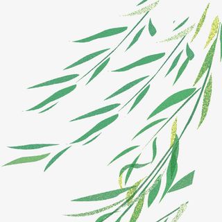 彩色渲染装饰柳叶设计图免抠