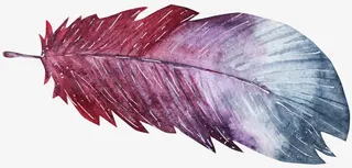 渐变的羽毛免抠