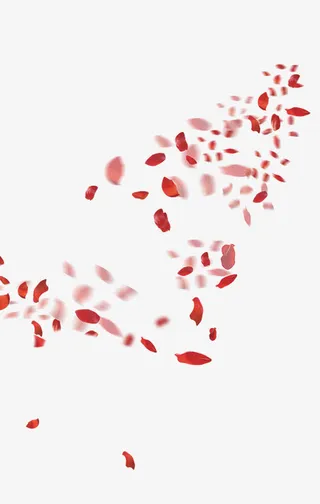 漂浮玫瑰花瓣免抠