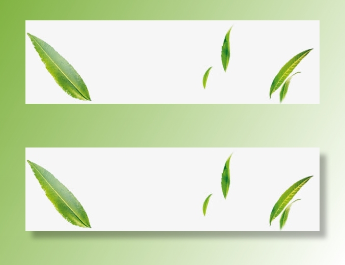 柳叶 飞飞 漂浮柳叶免抠漂浮叶子元素