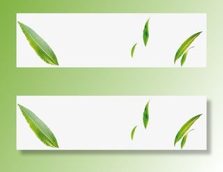 柳叶 飞飞 漂浮柳叶免抠漂浮叶子元素