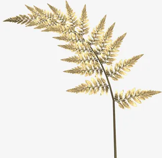 金色树枝叶子免抠