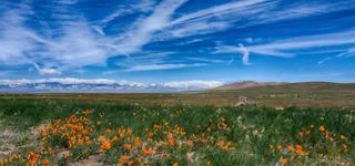 蓝天白云下的草原免抠