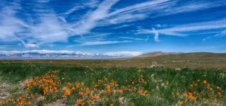 蓝天白云下的草原免抠