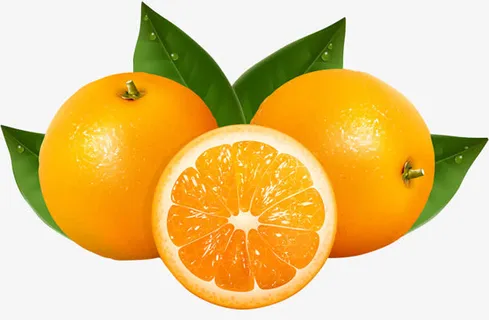 水果橙子纽荷尔免抠