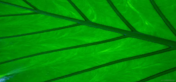 淘宝背景图高清