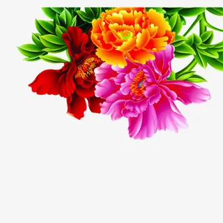 花朵边框菜单饭店免抠