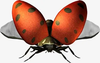 卡通瓢虫免抠素材免抠