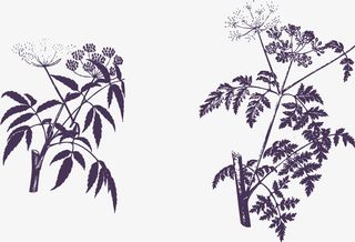 手绘黑色树枝免抠