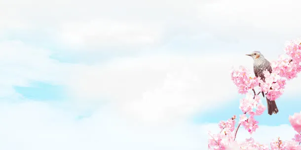 春暖燕归免抠