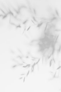 图片光影元素免抠