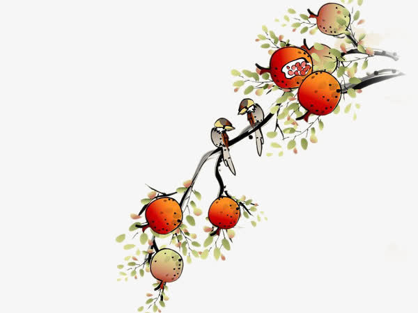 石榴与花鸟图片素材免抠