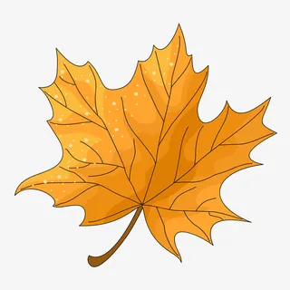 黄色的枫树叶免抠