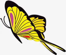 手绘黄黑色高清蝴蝶免抠
