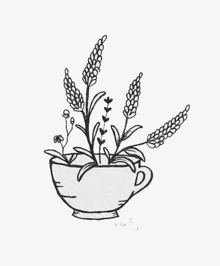 线描鲜花免抠