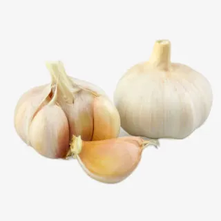 新鲜大蒜头免抠