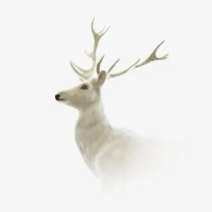 鹿头免抠