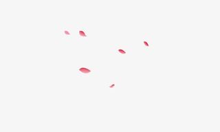 零星玫瑰花瓣落下大地免抠