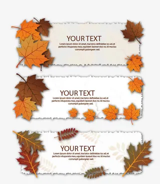 秋叶主题横幅免抠