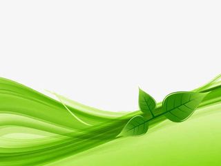 绿叶常青ppt背景