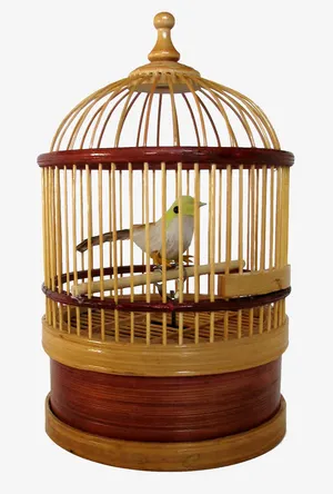 笼中的金丝雀免抠
