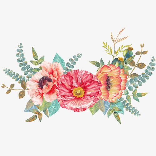 水彩花卉··免抠