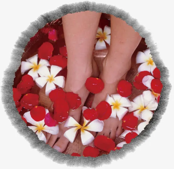 花瓣足疗洗脚免抠