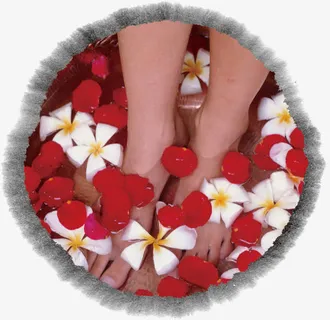 花瓣足疗洗脚免抠 花瓣足疗洗脚免抠