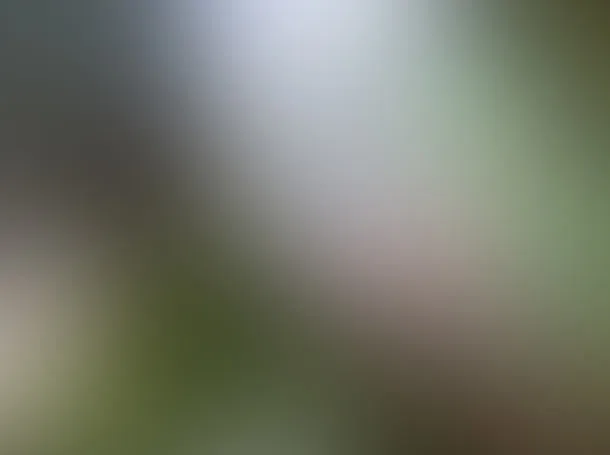 灰白色高清图PPT模板免抠