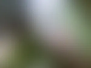 灰白色高清图PPT模板免抠