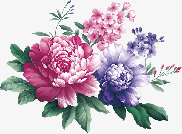 水彩画牡丹花免抠