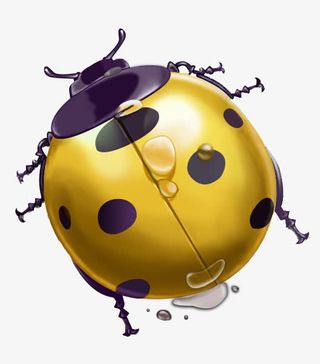 黄色七星瓢虫免抠