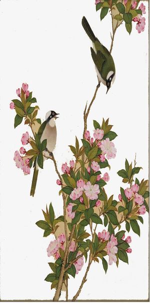 花鸟图免抠
