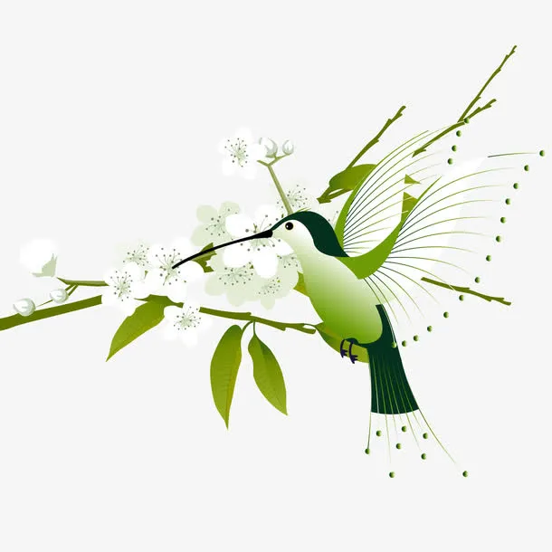 春季梨花与小鸟矢量素材免抠
