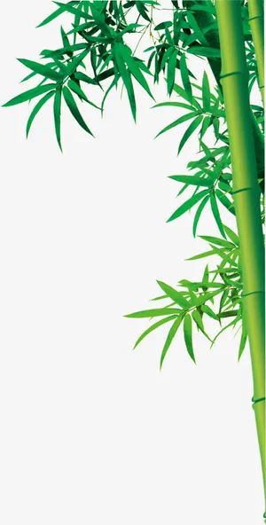 绿色卡通竹叶竹林免抠 绿色卡通竹叶竹林免抠