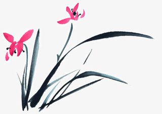 兰花免抠