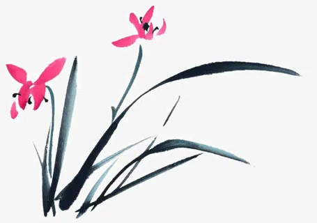 兰花免抠 兰花免抠