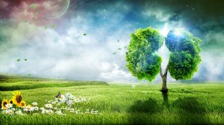 草地肺树禁止吸烟公益海报背景素材高清