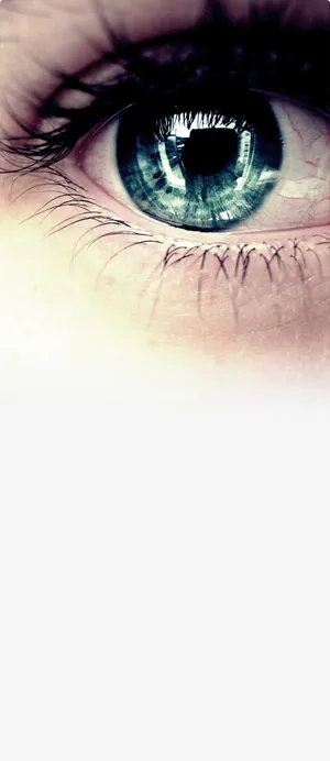 洞察 观察 洞察力免抠