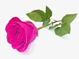 玫红的的玫瑰花免抠