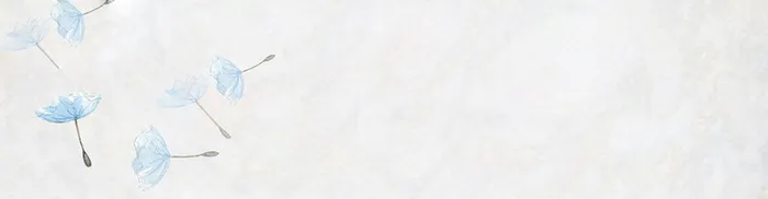 纯色花瓣banner高清